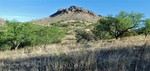 photo thumbnail #6