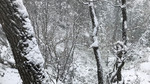photo thumbnail #12