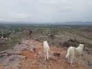 photo thumbnail #1
