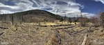 photo thumbnail #8