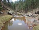 photo thumbnail #7