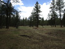 photo thumbnail #14
