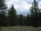 photo thumbnail #15