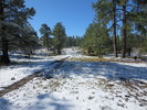photo thumbnail #3
