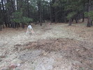 photo thumbnail #5