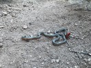 photo thumbnail #5