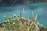 photo thumbnail #13