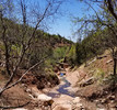 photo thumbnail #6
