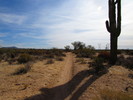 photo thumbnail #6