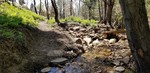 photo thumbnail #10