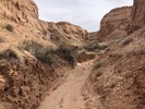 photo thumbnail #3