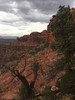 photo thumbnail #15