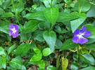 photo thumbnail #11