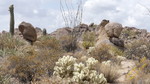 photo thumbnail #9