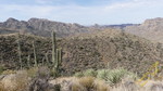 photo thumbnail #13
