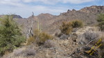 photo thumbnail #15
