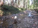 photo thumbnail #13