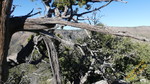 photo thumbnail #13