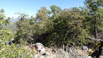 photo thumbnail #15