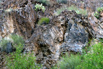 photo thumbnail #3