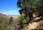 photo thumbnail #10