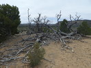 photo thumbnail #8