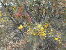 photo thumbnail #12
