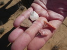 photo thumbnail #13