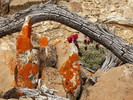photo thumbnail #7