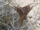 photo thumbnail #15
