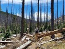 photo thumbnail #2