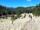 photo thumbnail #7