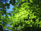 photo thumbnail #10