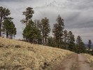 photo thumbnail #3