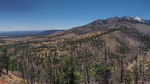photo thumbnail #10