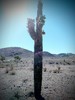 photo thumbnail #7