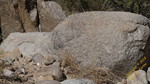 photo thumbnail #12