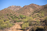 photo thumbnail #3