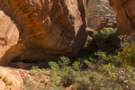photo thumbnail #15