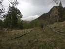 photo thumbnail #15
