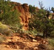 photo thumbnail #9