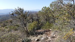 photo thumbnail #12