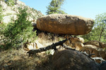 photo thumbnail #7