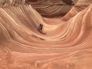 photo thumbnail #8