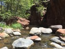 photo thumbnail #8