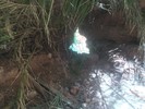 photo thumbnail #9
