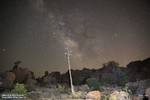 photo thumbnail #4