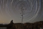 photo thumbnail #9