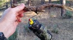 photo thumbnail #10