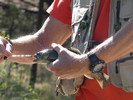 photo thumbnail #13